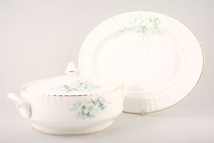 Set of 2 Royal Stafford Blossom Dinner Plates 