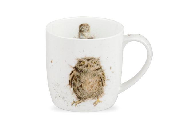 Royal Worcester Wrendale Designs Mug What a Hoot (Owl) 310ml