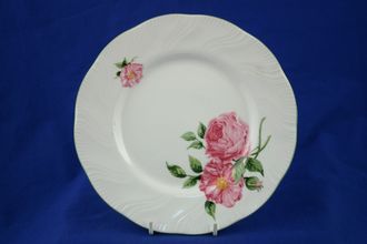 Rosina China Mottisfont Roses Dinner Plate