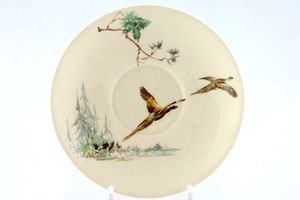 Royal Doulton Coppice - D5803 - The Coffee Saucer