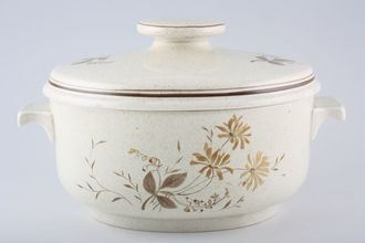 Sell Royal Doulton Sandsprite - thick line - L.S.1013 Casserole Dish + Lid Oval, lugged 3pt