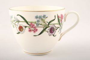 Royal Worcester Fleurette Teacup