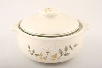 Sell Royal Doulton Will O' The Wisp - Thick Line - L.S.1023 Lidded Soup Lugged - Lid sits inside Rim