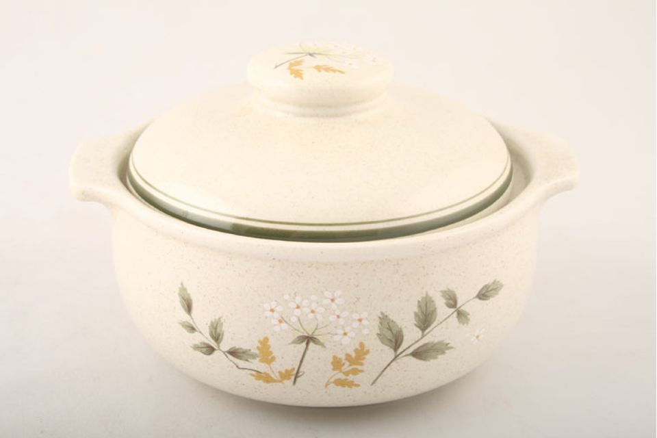 Royal Doulton Will O' The Wisp - Thick Line - L.S.1023 Lidded Soup Lugged - Lid sits inside Rim
