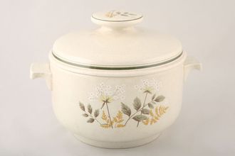Royal Doulton Will O' The Wisp - Thick Line - L.S.1023 Casserole Dish + Lid lugged 4pt