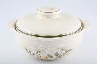 Royal Doulton Will O' The Wisp - Thick Line - L.S.1023 Casserole Dish + Lid Rounded - lugged 2pt