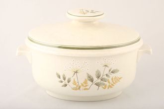 Sell Royal Doulton Will O' The Wisp - Thick Line - L.S.1023 Casserole Dish + Lid oval, lugged - lid sits outside base 3 1/2pt