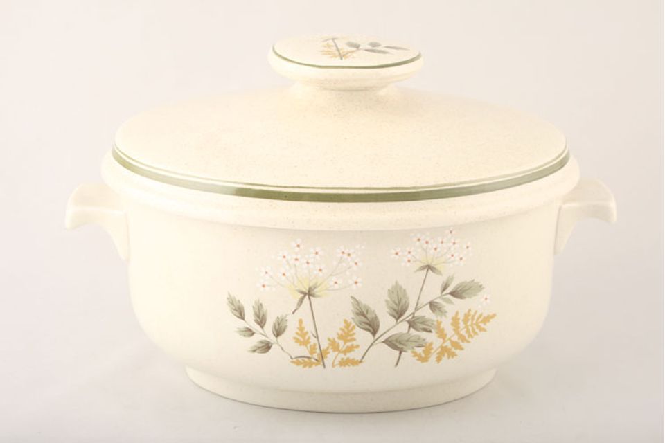 Royal Doulton Will O' The Wisp - Thick Line - L.S.1023 Casserole Dish + Lid oval, lugged - lid sits outside base 3 1/2pt