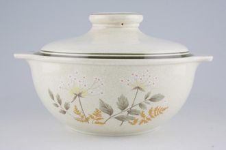 Sell Royal Doulton Will O' The Wisp - Thick Line - L.S.1023 Vegetable Tureen with Lid lugged 2pt