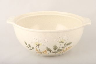 Sell Royal Doulton Will O' The Wisp - Thick Line - L.S.1023 Vegetable Tureen Base Only 2pt