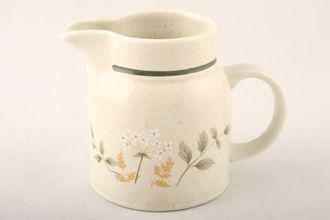 Sell Royal Doulton Will O' The Wisp - Thick Line - L.S.1023 Cream Jug 1/4pt