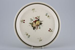 Royal Doulton Cornwall - thick line - L.S.1015 Dinner Plate