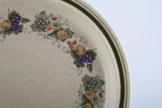 Royal Doulton Harvest Garland - Thick Line - L.S.1018 Breakfast / Lunch Plate 9 5/8" thumb 2