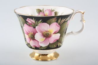 Sell Royal Albert Provincial Flowers Teacup Alberta Rose 3 1/2" x 3"