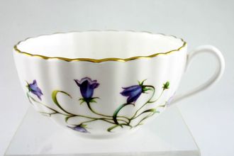Sell Spode Canterbury - Y8497 Teacup 3 7/8" x 2"