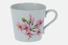 Spode Oriental Flowers - W155 Coffee Cup 2 3/4" x 2 1/2" thumb 1