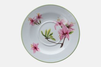 Spode Oriental Flowers - W155 Coffee Saucer 5 1/2"