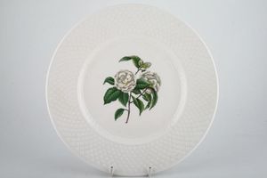 Spode Virginia - Mansard - Y8601 Dinner Plate