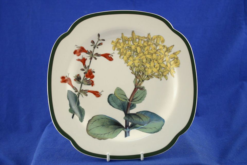 Spode Burgess Botanicals Breakfast / Lunch Plate Square, Kalanchoe and Salvia 9"