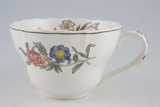 Sell Spode Spring Time - Y1573 Teacup 4 1/4" x 3"
