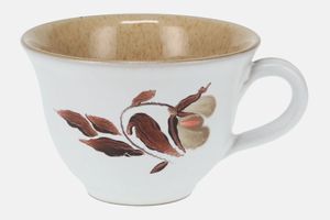 Denby Windflower Teacup