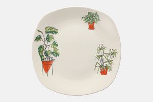 Midwinter Plant Life Breakfast / Lunch Plate