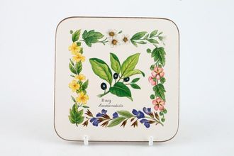 Royal Worcester Worcester Herbs Coaster Box of 6 - Herb pattern 4" x 4"