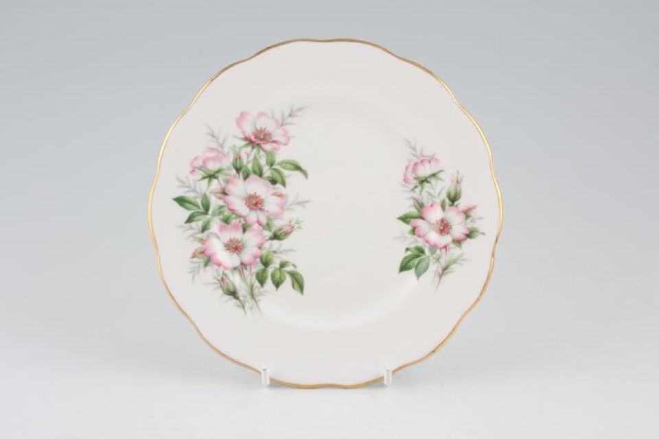 Royal Albert Wild Rose - Friendship Series Tea / Side Plate 6 1/4"