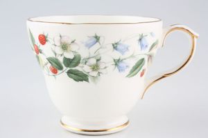 Duchess Strawberryfields Teacup