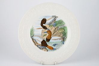 Adams Birds of America - The Dinner Plate canvas back duck 10 1/4"