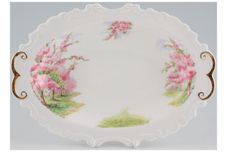 Royal Albert Blossom Time Tray (Giftware) Ornate edge 10" thumb 2