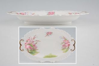 Royal Albert Blossom Time Tray (Giftware) Ornate edge 10"