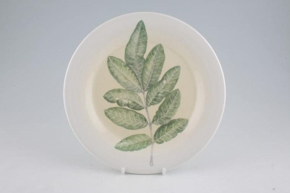 Portmeirion Seasons Collection - Leaves Salad/Dessert Plate Spray of Leaves - cream centre 8 5/8"