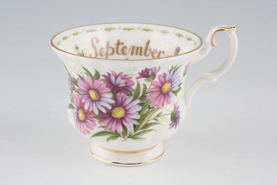 Royal Albert Flower of the Month Series - Montrose Shape Teacup September - Michaelmas Daisy 3 1/2" x 2 3/4"
