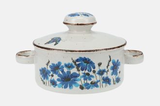 Midwinter Spring Vegetable Tureen with Lid 2 handles
