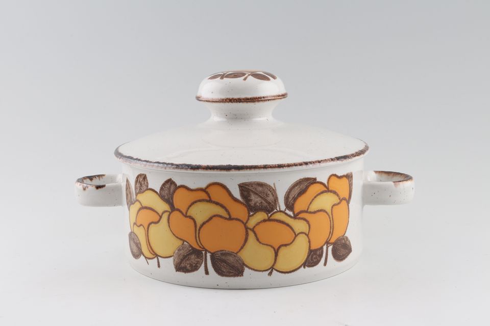 Midwinter Summer Vegetable Tureen with Lid 2 handles
