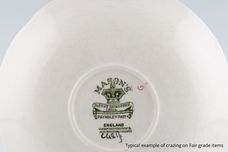 Masons Paynsley - Green Oblong Platter Oblong meat plate 17" thumb 2