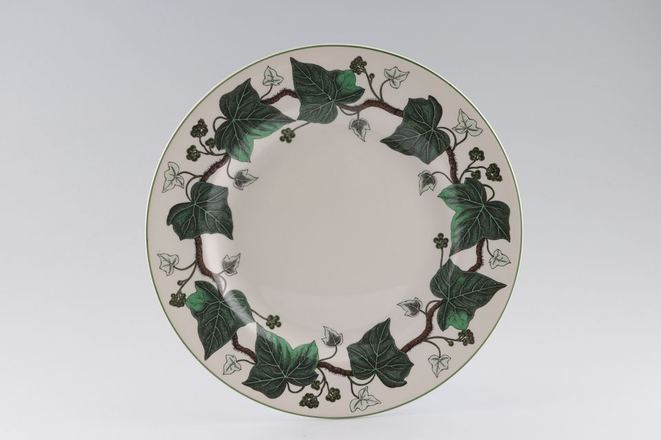 Wedgwood Napoleon Ivy - Green Edge Dinner Plate Flat Rim - Sizes may vary slightly. 10 3/8"