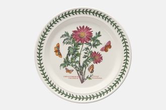Portmeirion Botanic Garden Dinner Plate Chrysanthemum Coccinum - Flowered Chrysanthemum - named 10 1/2"