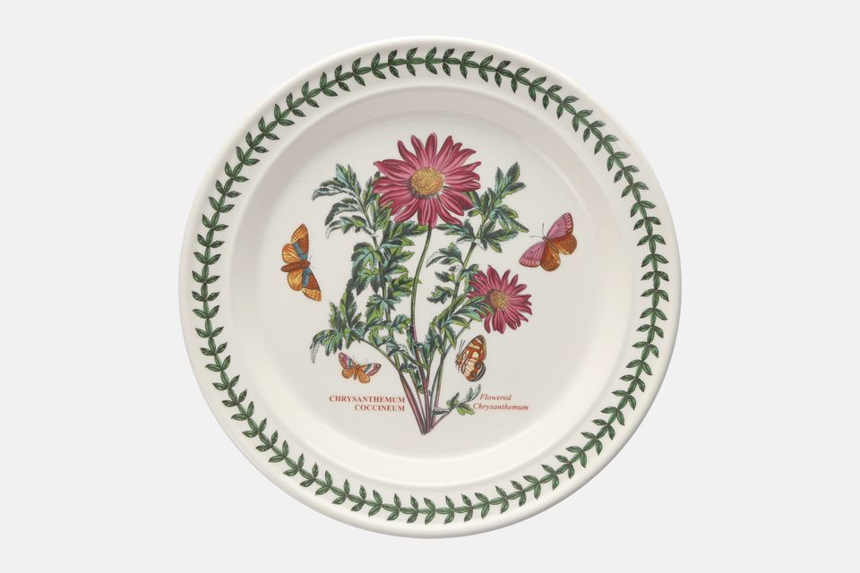 Portmeirion Botanic Garden Dinner Plate Chrysanthemum Coccinum - Flowered Chrysanthemum - named 10 1/2"