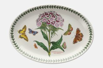 Portmeirion Botanic Garden Oval Platter Dianthus Barbatus - Sweet William - named 10 3/4"