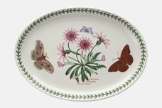 Portmeirion Botanic Garden Oval Platter Gazania Ringens - Treasure Flower - named 12 7/8" thumb 1