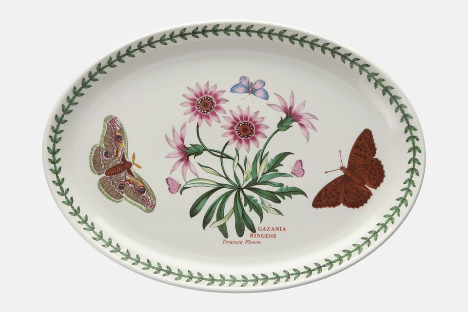 Portmeirion Botanic Garden Oval Platter Gazania Ringens - Treasure Flower - named 12 7/8"
