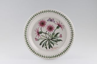 Portmeirion Botanic Garden Salad/Dessert Plate Gazania Ringens - Treasure Flower - named 8 1/2"