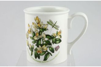 Sell Portmeirion Botanic Garden Mug Drum Shape - Polygala Chamaeluxus - Box Leaved Milkwort - named 3 1/8" x 3 5/8"
