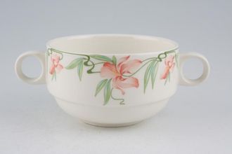 Sell Villeroy & Boch Miami Soup Cup 2 handles