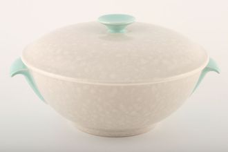Poole Twintone Seagull and Ice Green Vegetable Tureen with Lid Seagull outside, cream inside - Ice Green handles turn downwards. Knobs vary.