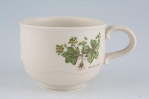 Poole Country Lane Teacup