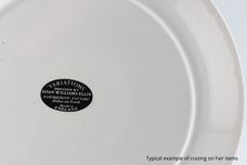 Portmeirion Variations - Orange + Grey Salad/Dessert Plate 8 1/2" thumb 2