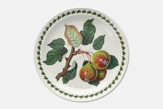Portmeirion Pomona - Older Backstamps Dinner Plate The Teinton Squash Pear 10 3/8"